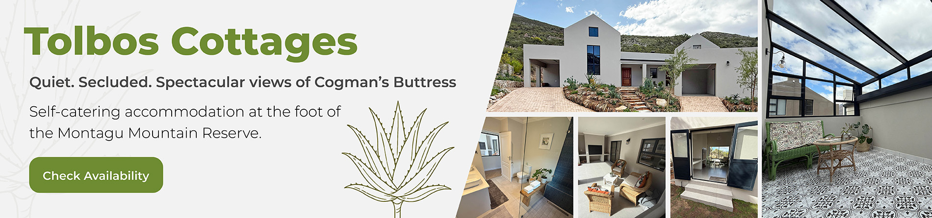 Montagu Tolbos Cottages